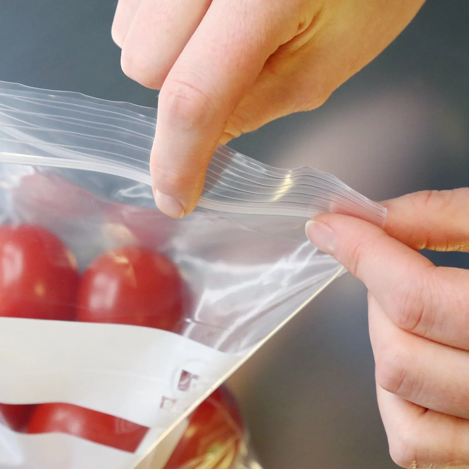 6.5" x 6" Double Zipper Sandwich Bags, Pack of 500